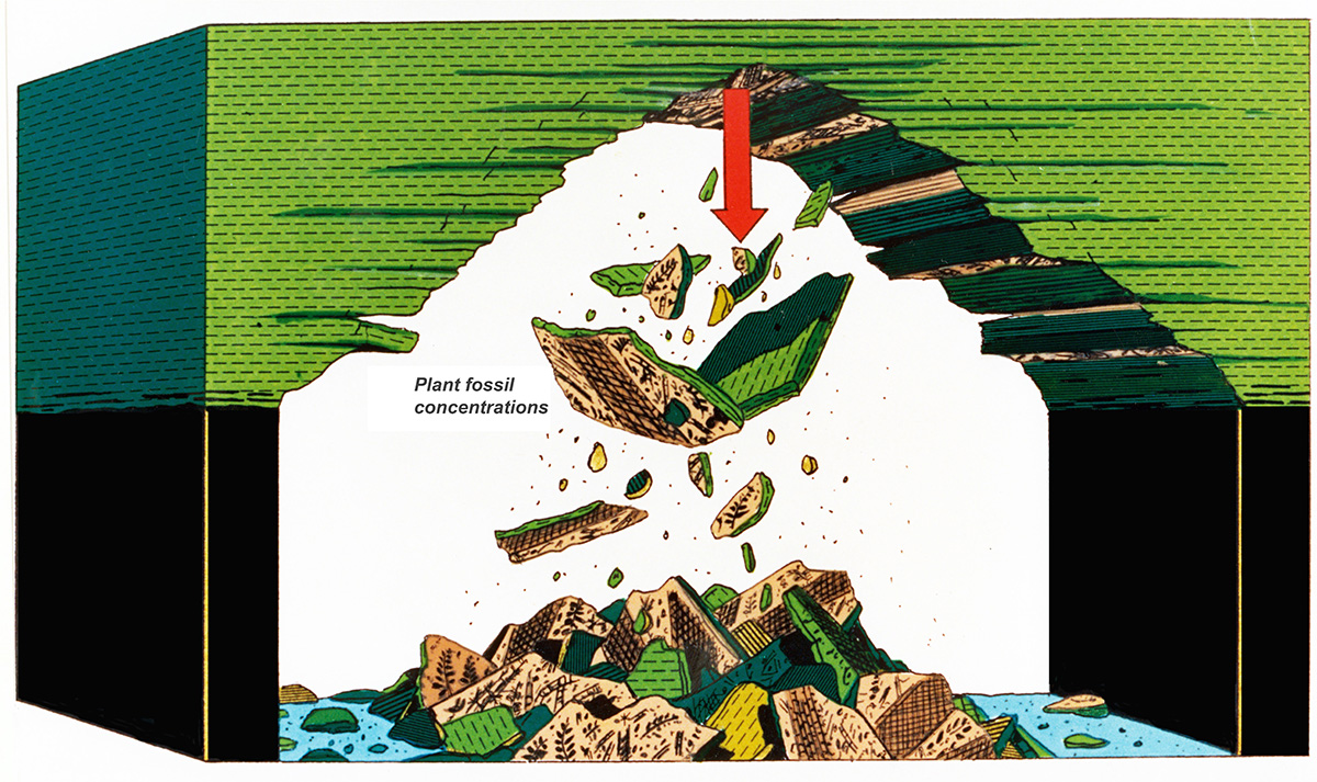 Potential roof-fall hazards in weak shale mine roof.